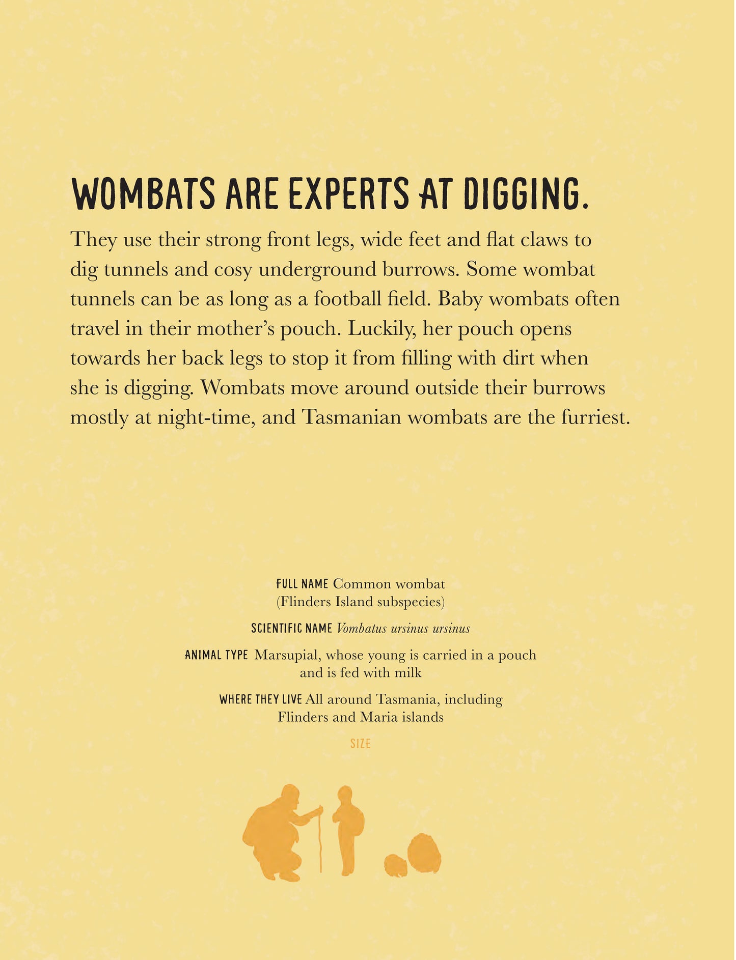 WILD TASMANIA children's book