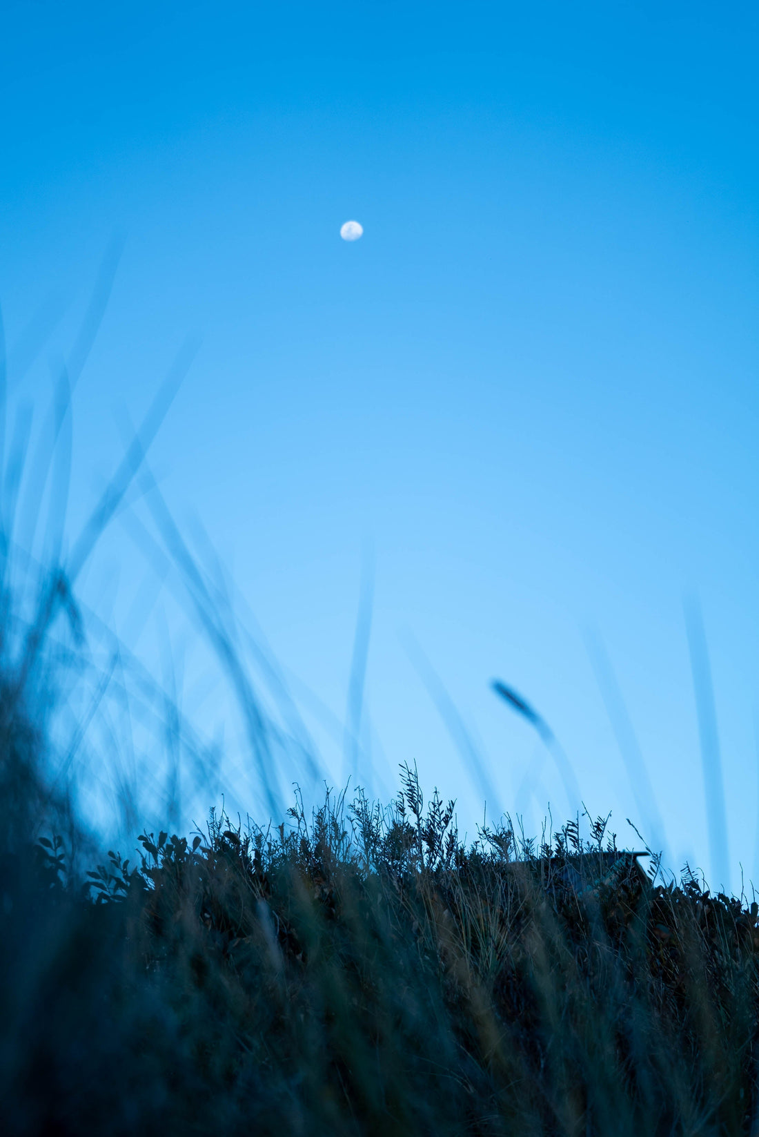 moons and tides