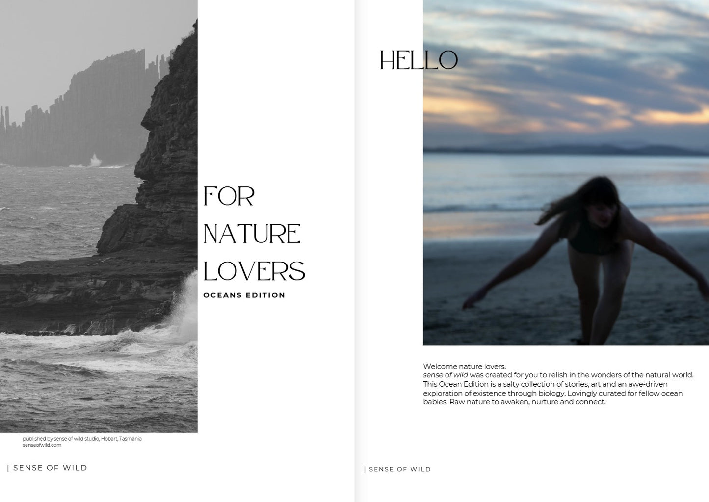 sense of wild magazine - oceans edition