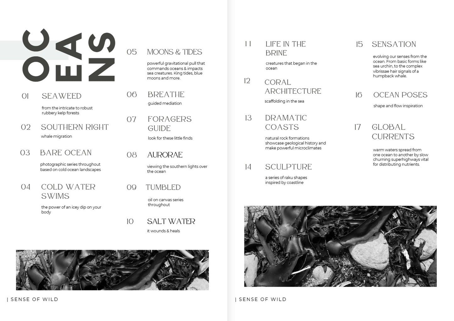 sense of wild magazine - oceans edition