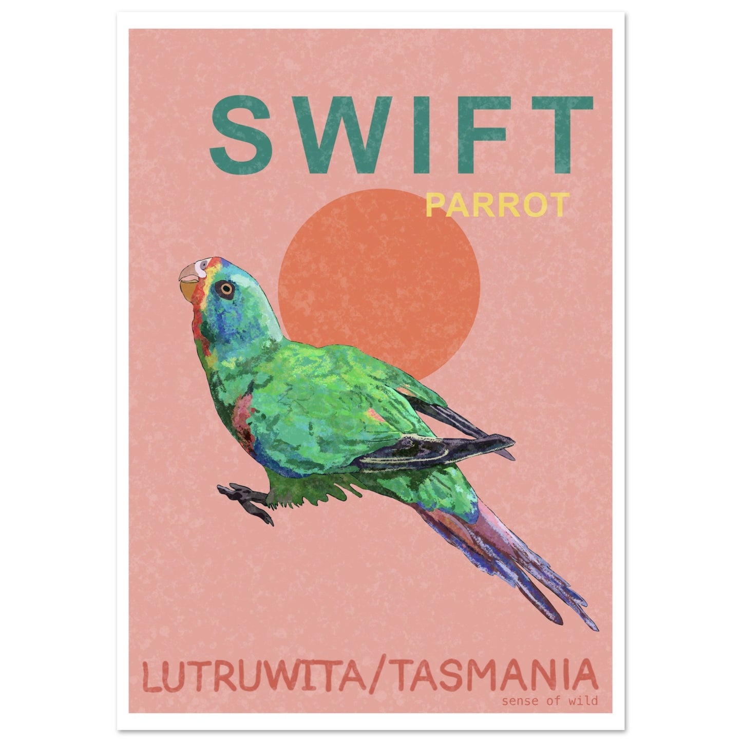 swift parrot - lutruwita / Tasmania