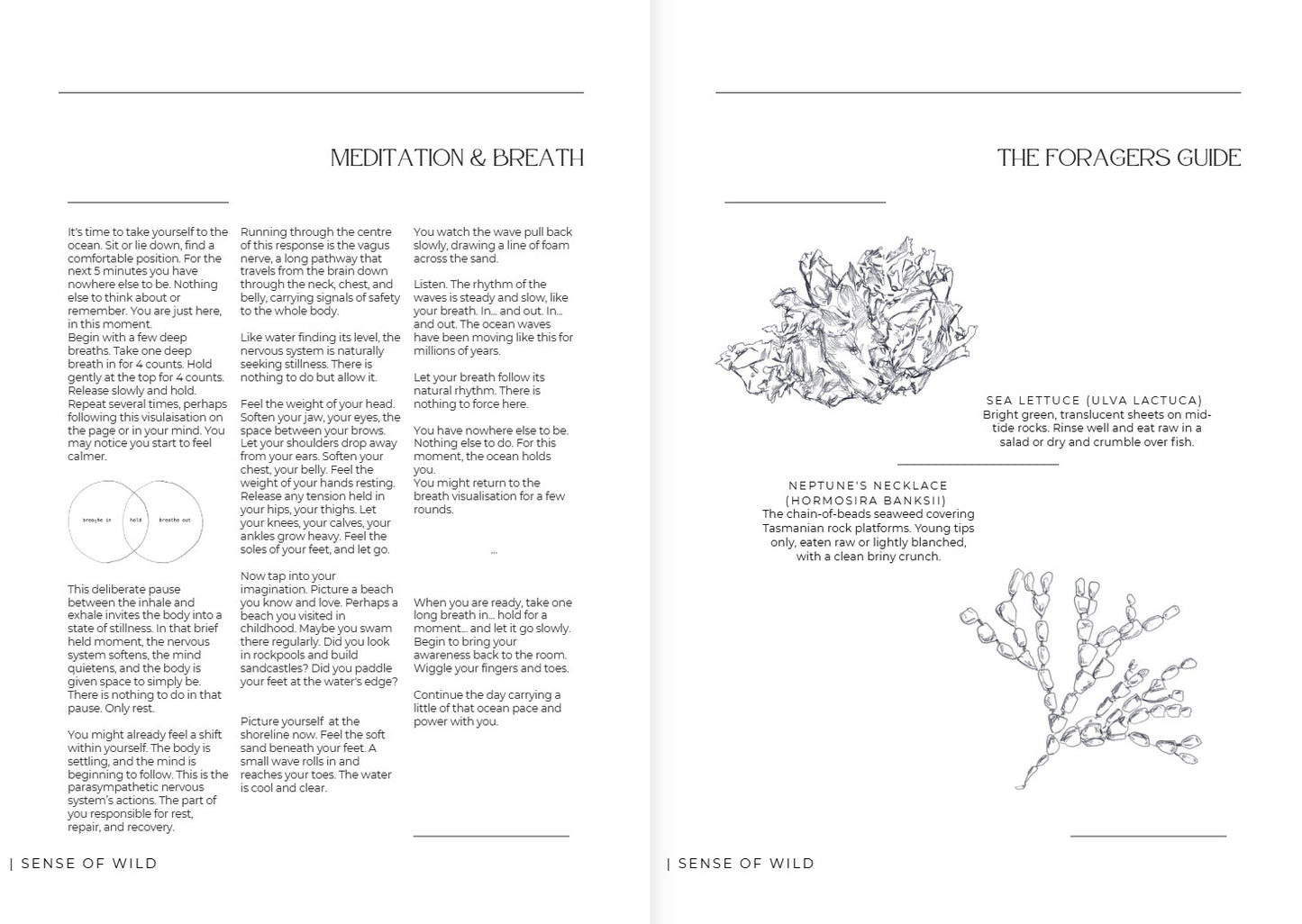 sense of wild magazine - oceans edition