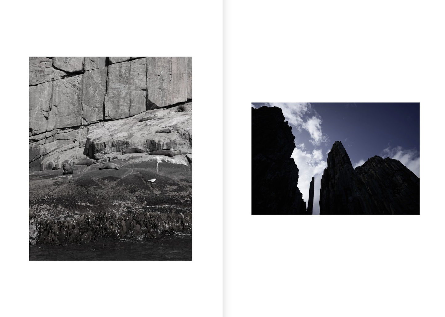 sense of wild magazine - oceans edition