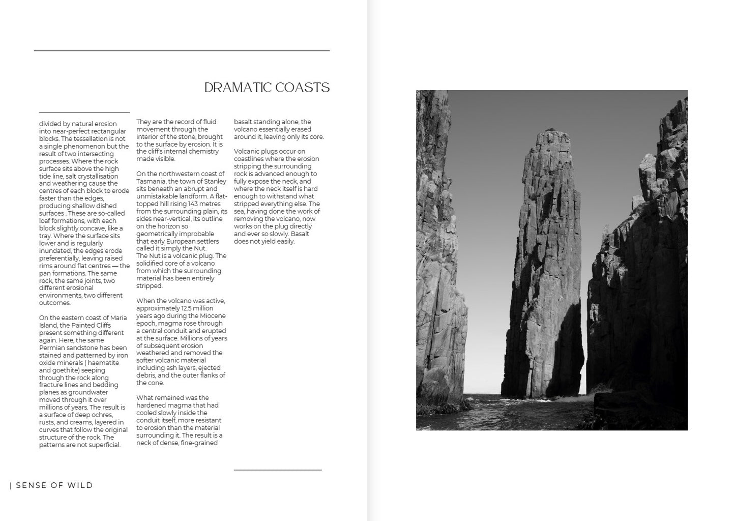 sense of wild magazine - oceans edition
