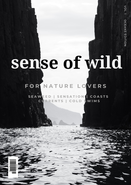 sense of wild magazine - oceans edition
