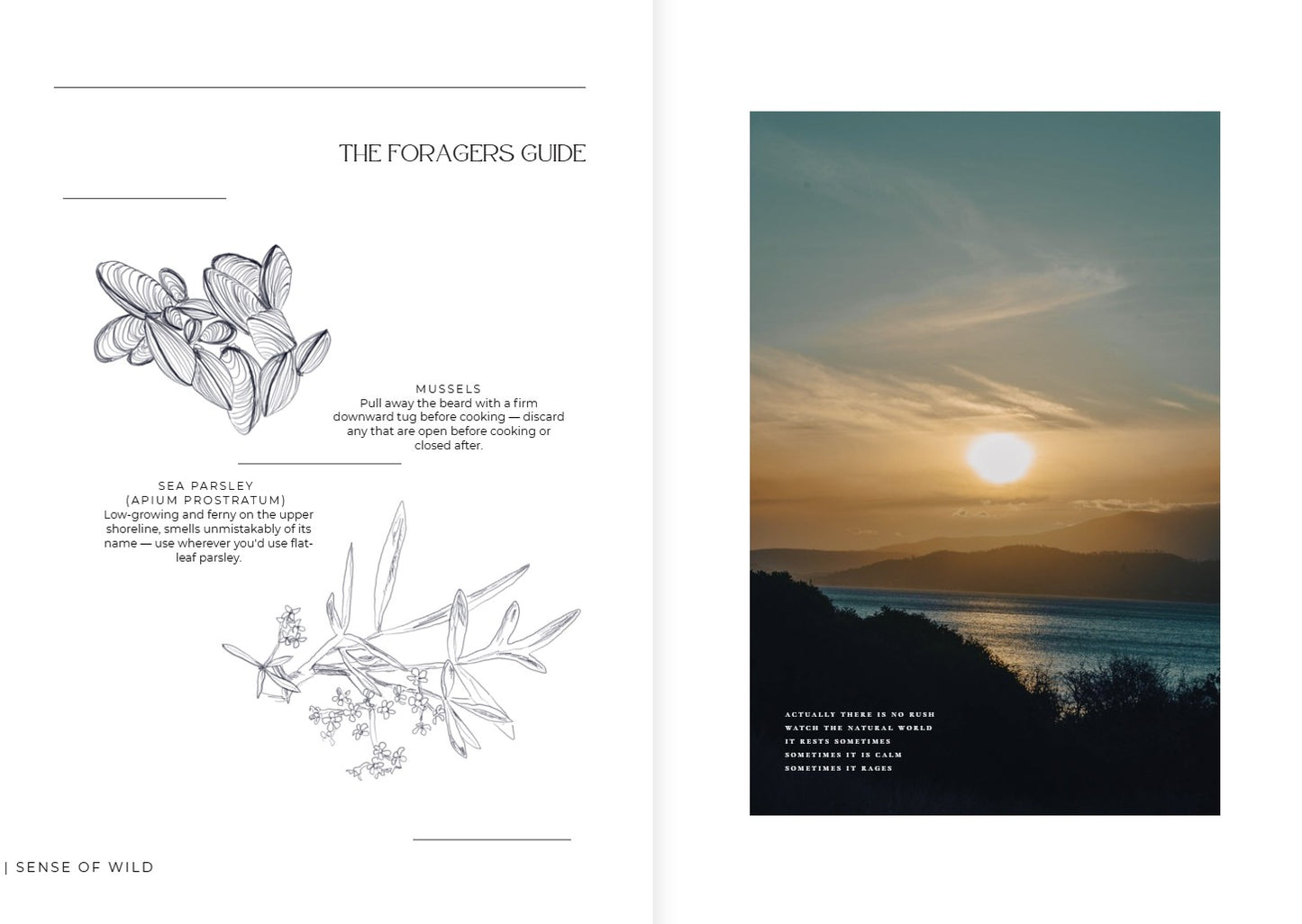 sense of wild magazine - oceans edition