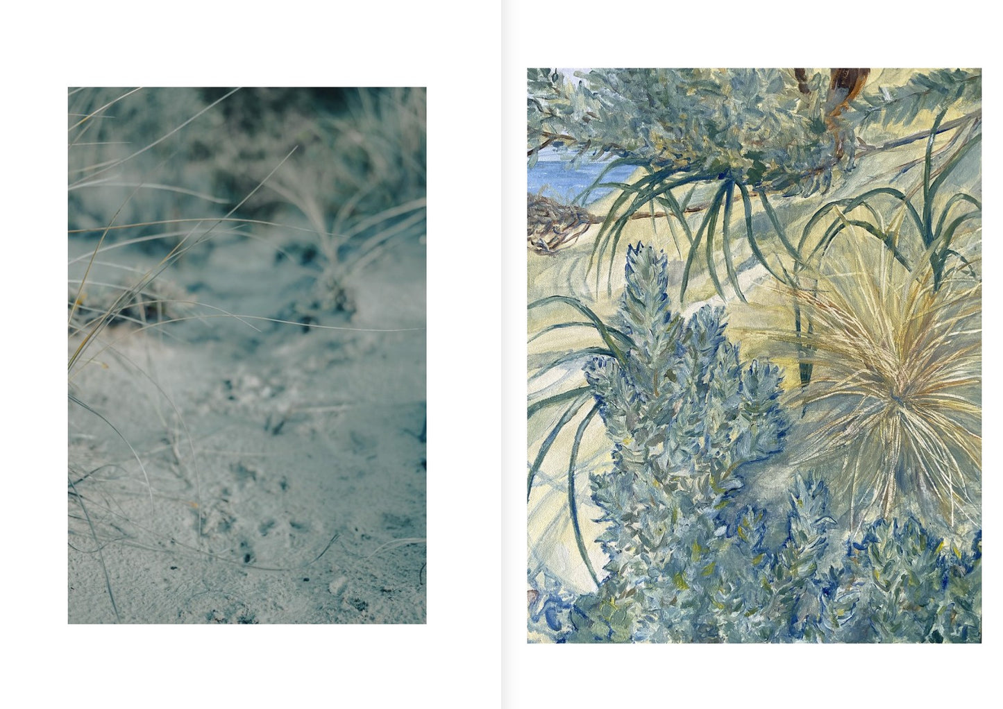 sense of wild magazine - oceans edition
