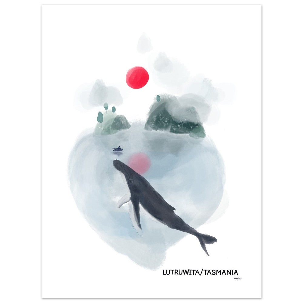 humpback whale - art print lutruwita / Tasmania